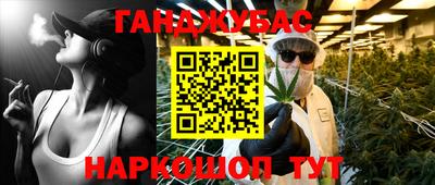 сатива Будённовск