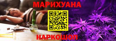 сатива Будённовск