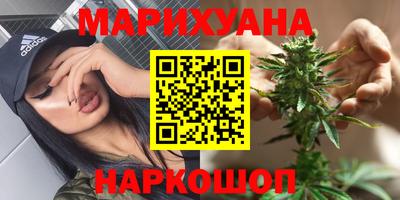 сатива Будённовск