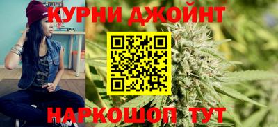 сатива Будённовск